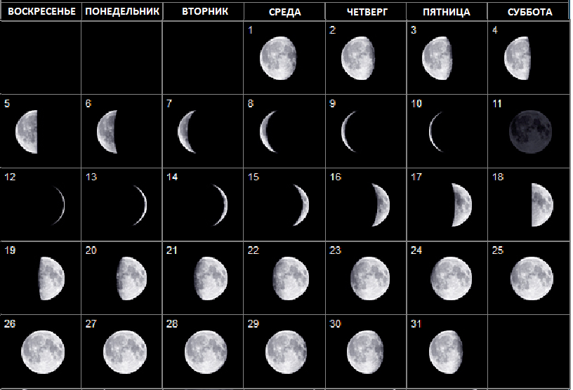 Рост луны в апреле 2024. Фазы Луны. Растущая Луна. Убывающая Луна. Новолуние.
