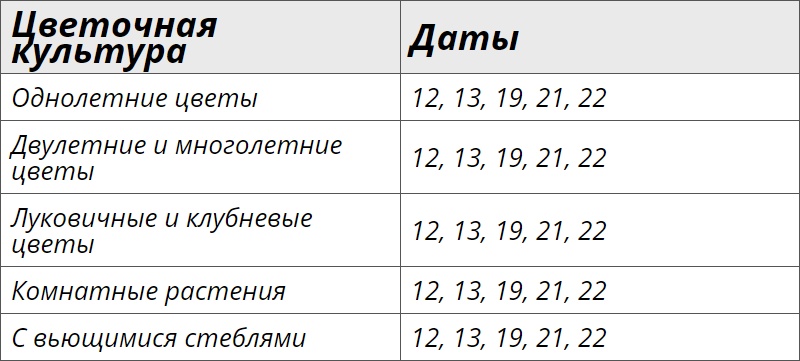 Лунный посевной календарь для цветов на апрель 2024 года