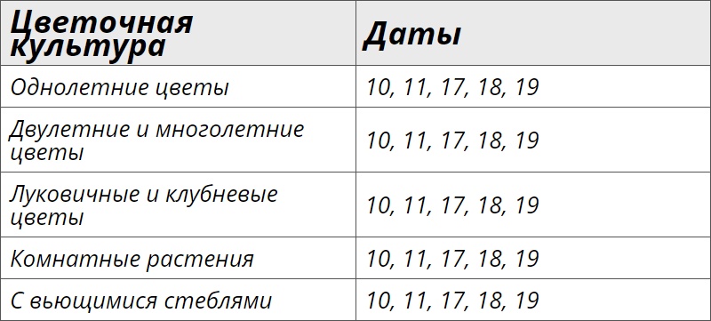 Благоприятные дни для посадки цветов по лунному календарю на май 2024 года