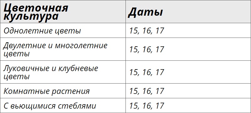 Благоприятные дни для посадки цветов в июне 2024 года – Клео.ру