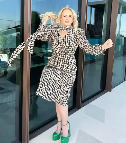 Ребел Уилсон/Фото: rebelwilson/Instagram*