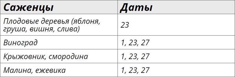 Благоприятные дни для посадки деревьев и кустарников в июне 2024 года – Клео.ру