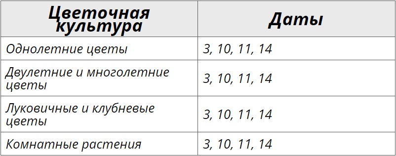 Благоприятные дни для посадки цветов по лунному календарю на июль 2024 – Kleo.ru