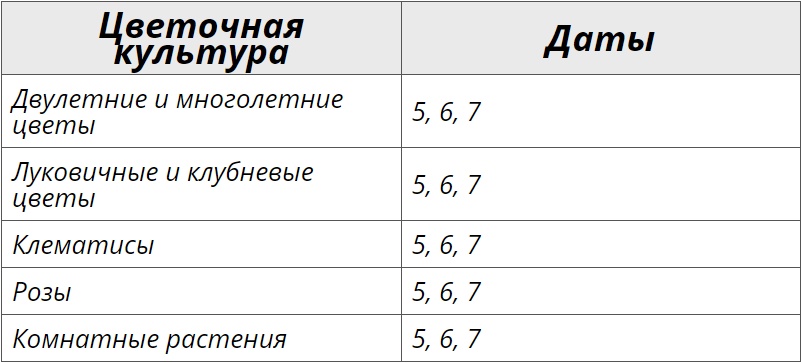 Лунный посевной календарь на сентябрь 2024 года для цветов – Kleo.ru