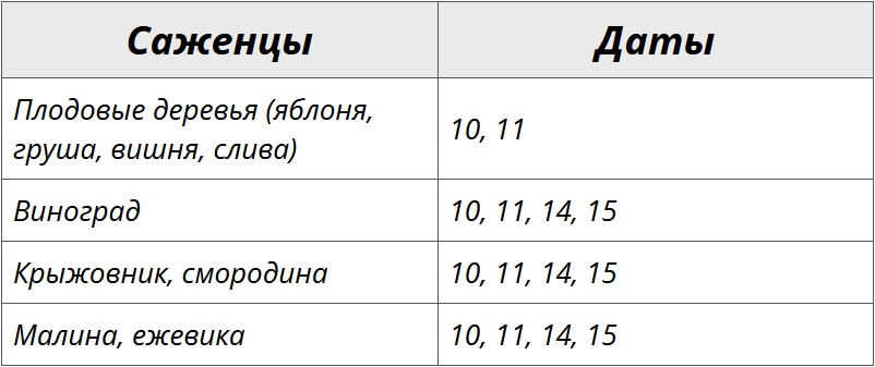 Благоприятные дни для посадки кустарников и деревьев по лунному календарю на октябрь 2024 – Kleo.ru